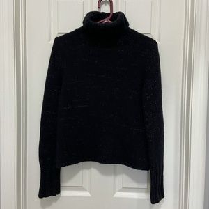 Gap Turtleneck Sweater